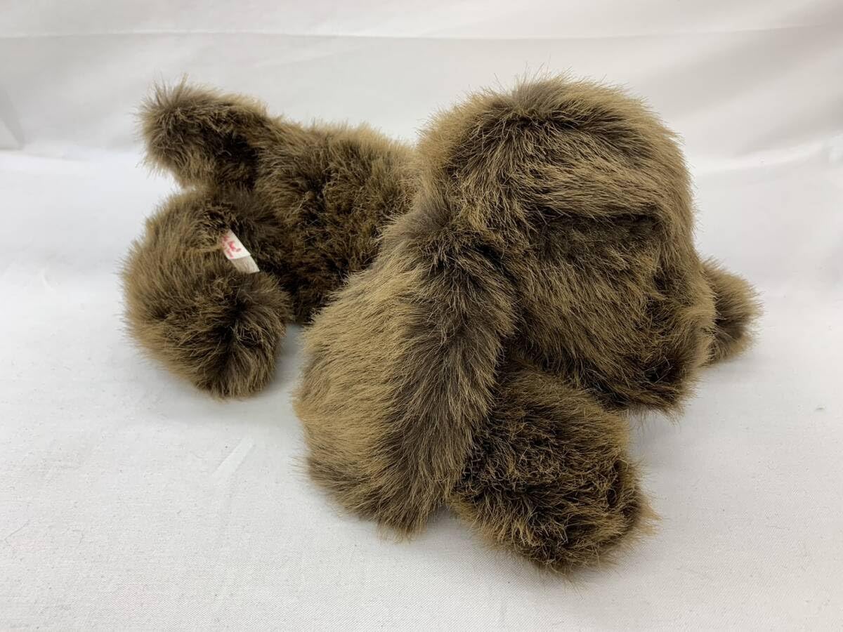 Amazon.co.jp: /中古 ケテクルーゼ Kaethe Kruse くたくた犬